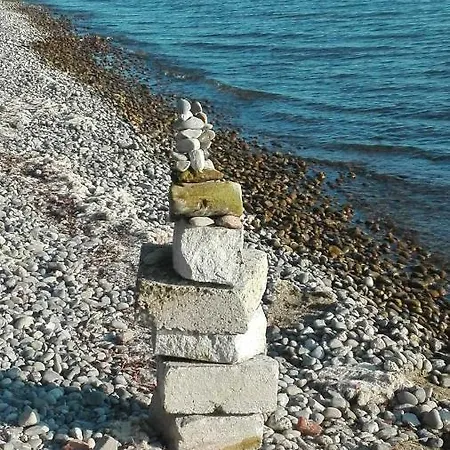 Bodensee Fisch *