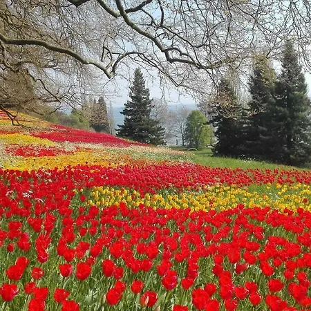 아파트 Bodensee Fisch