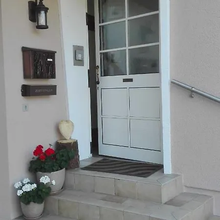 Bodensee Fisch 미르스부르크