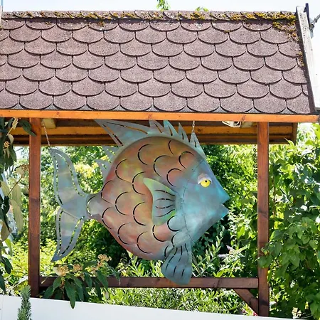 Bodensee Fisch