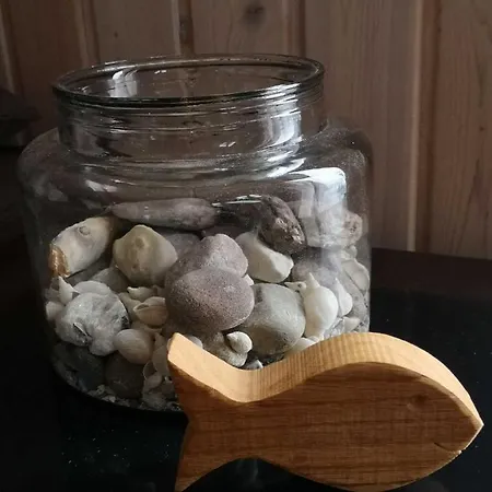 דירה Bodensee Fisch