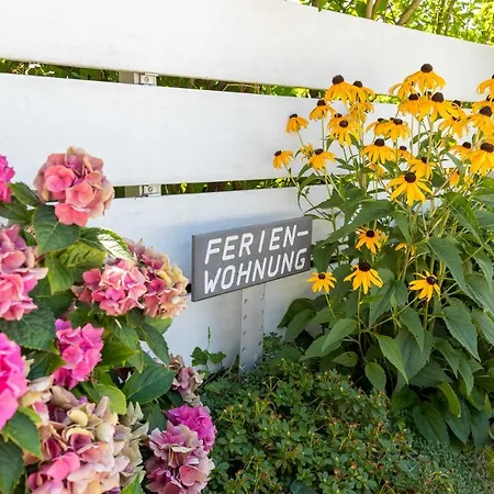 아파트 Bodensee Fisch