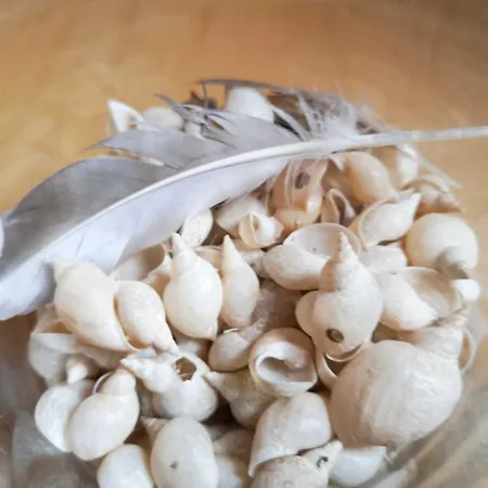 דירה Bodensee Fisch